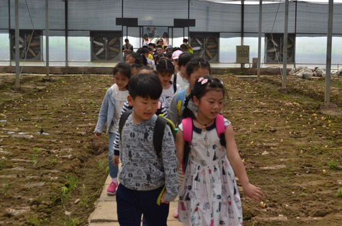 杭州亞運會官方靈芝產品供應商|杭州亞運會官方供應商|中國靈芝十大品牌|仙客來靈芝|仙客來靈芝破壁孢子粉|仙客來孢子油|仙客來靈芝飲片|仙客來破壁孢子粉|靈芝孢子油|孢子粉|靈芝破壁孢子粉|靈芝|中華老字號