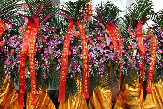 杭州亞運(yùn)會(huì)官方靈芝產(chǎn)品供應(yīng)商|杭州亞運(yùn)會(huì)官方供應(yīng)商|中國靈芝十大品牌|仙客來靈芝|仙客來靈芝破壁孢子粉|仙客來孢子油|仙客來靈芝飲片|仙客來破壁孢子粉|靈芝孢子油|孢子粉|靈芝破壁孢子粉|靈芝|中華老字號(hào)
