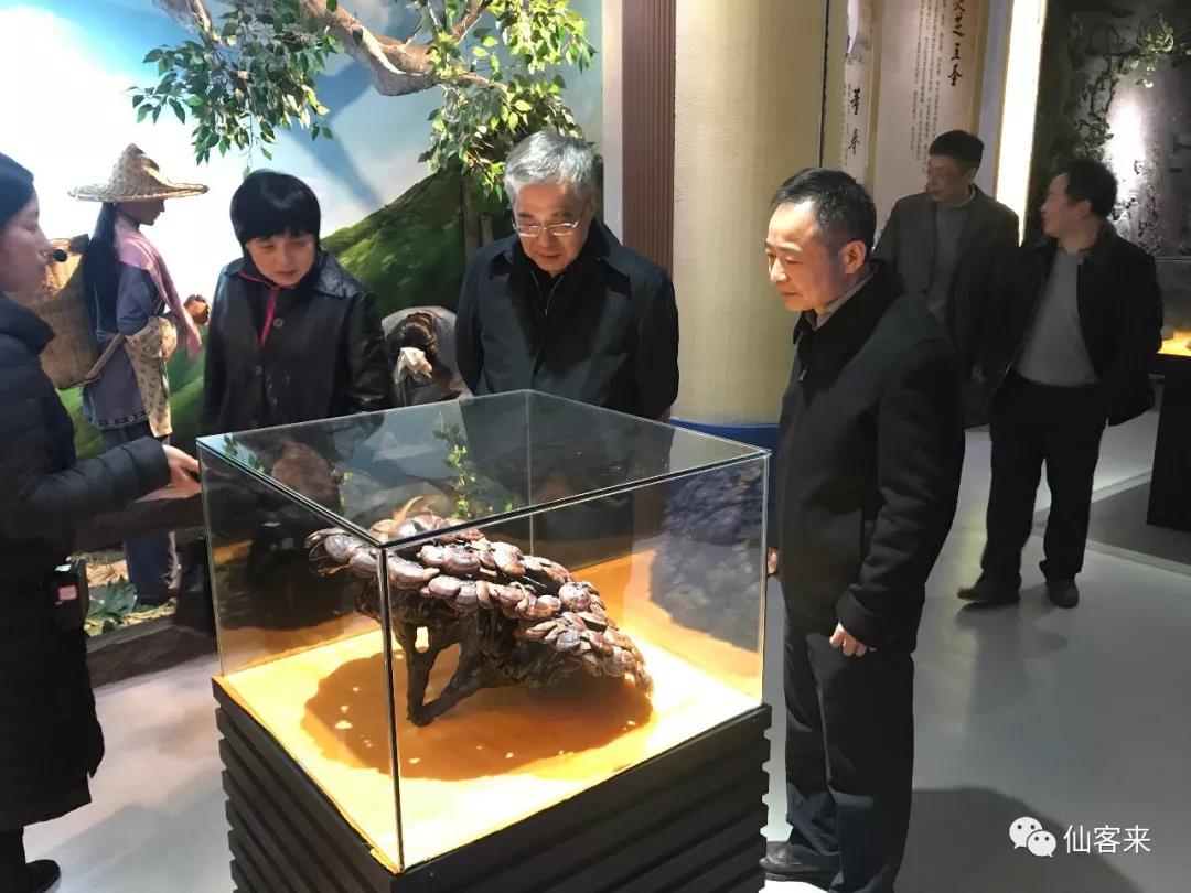 中國靈芝十大品牌|仙客來靈芝|仙客來靈芝破壁孢子粉|仙客來孢子油|仙客來靈芝飲片|仙客來破壁孢子粉|仙客來靈芝中藥飲片|馳名商標|www.sinishell.cn|