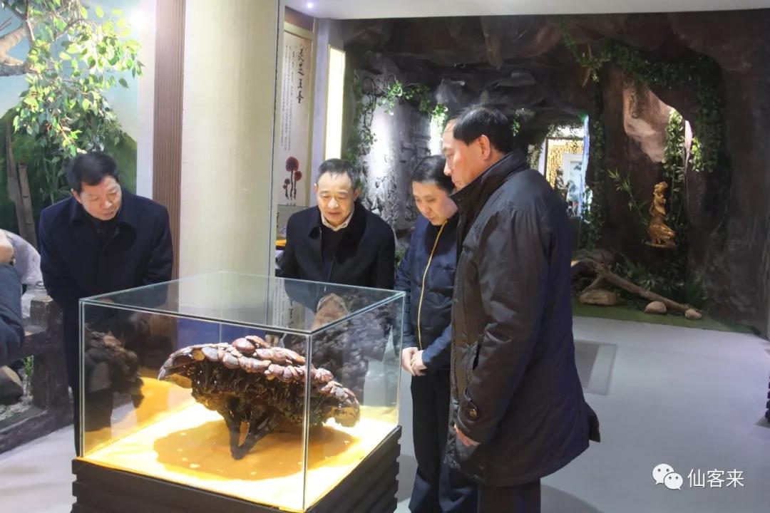 中國(guó)靈芝十大品牌|仙客來(lái)靈芝|仙客來(lái)靈芝破壁孢子粉|仙客來(lái)孢子油|仙客來(lái)靈芝飲片|仙客來(lái)破壁孢子粉|仙客來(lái)靈芝中藥飲片|馳名商標(biāo)|www.sinishell.cn|