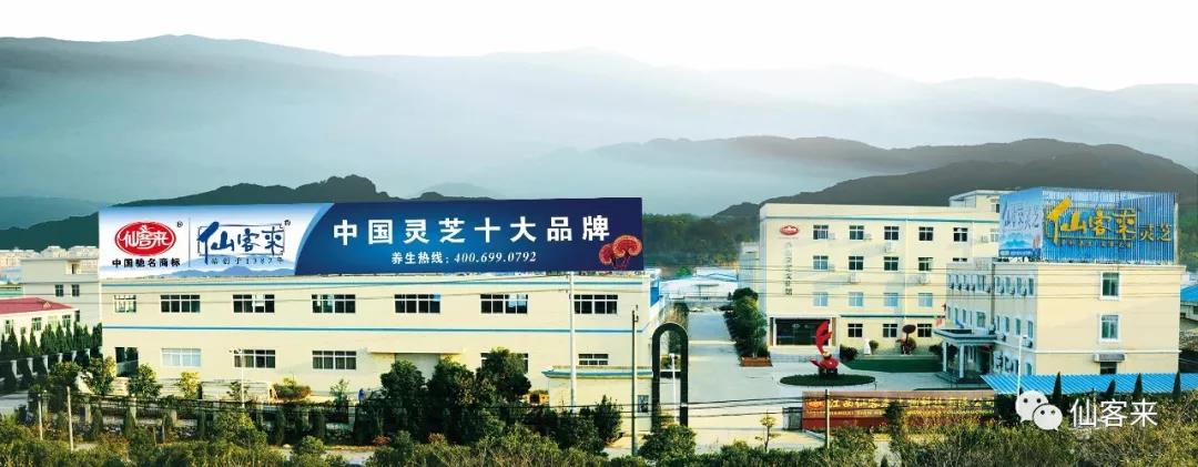 中國靈芝十大品牌|仙客來靈芝|仙客來靈芝破壁孢子粉|仙客來孢子油|仙客來靈芝飲片|仙客來破壁孢子粉|仙客來靈芝中藥飲片|馳名商標|www.sinishell.cn|