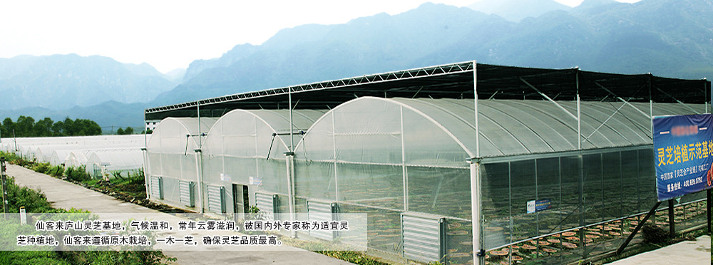 中國靈芝十大品牌|仙客來靈芝|仙客來靈芝破壁孢子粉|仙客來孢子油|仙客來靈芝飲片|仙客來破壁孢子粉|仙客來靈芝中藥飲片|馳名商標(biāo)|www.sinishell.cn|