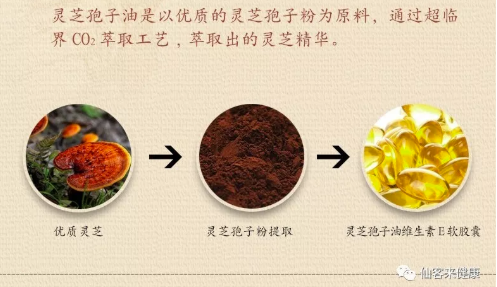 中國靈芝十大品牌|仙客來靈芝|仙客來靈芝破壁孢子粉|仙客來孢子油|仙客來靈芝飲片|仙客來破壁孢子粉|仙客來靈芝中藥飲片|馳名商標|www.sinishell.cn|