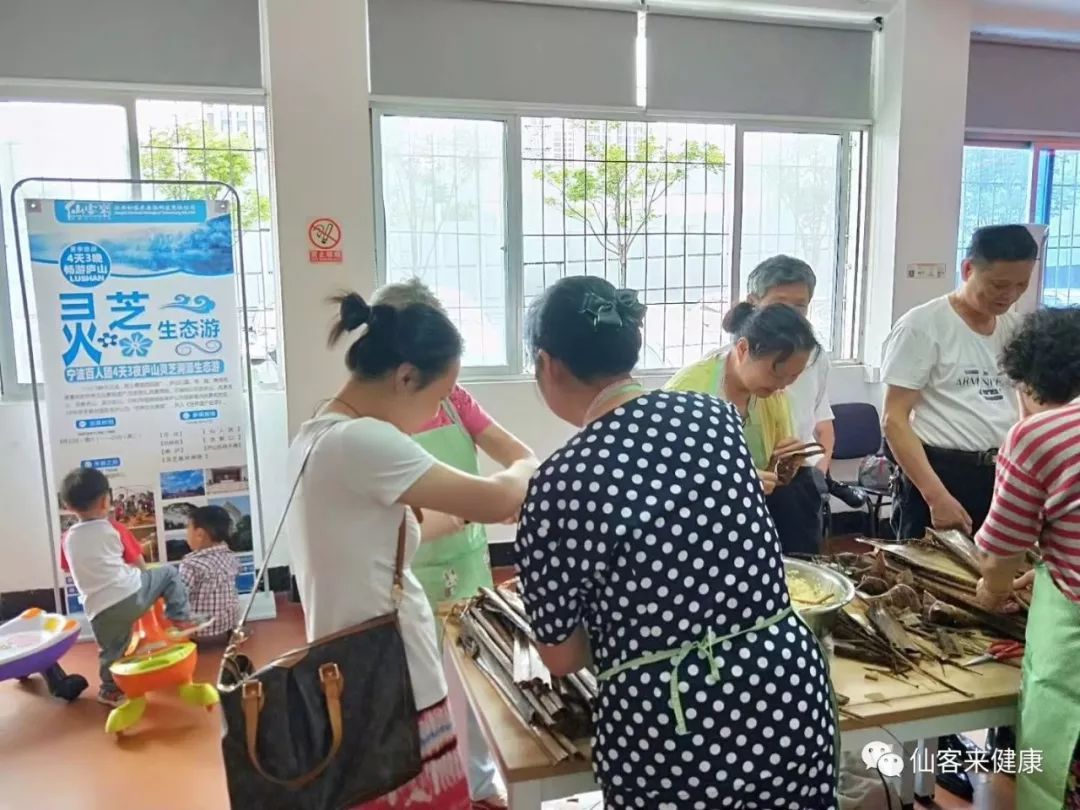 杭州亞運(yùn)會(huì)官方靈芝產(chǎn)品供應(yīng)商|杭州亞運(yùn)會(huì)官方供應(yīng)商|中國靈芝十大品牌|仙客來靈芝|仙客來靈芝破壁孢子粉|仙客來孢子油|仙客來靈芝飲片|仙客來破壁孢子粉|靈芝孢子油|孢子粉|靈芝破壁孢子粉|靈芝|中華老字號(hào)