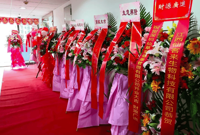 中國靈芝十大品牌|仙客來靈芝|仙客來靈芝破壁孢子粉|仙客來孢子油|仙客來靈芝飲片|仙客來破壁孢子粉|仙客來靈芝中藥飲片|馳名商標(biāo)|www.sinishell.cn|