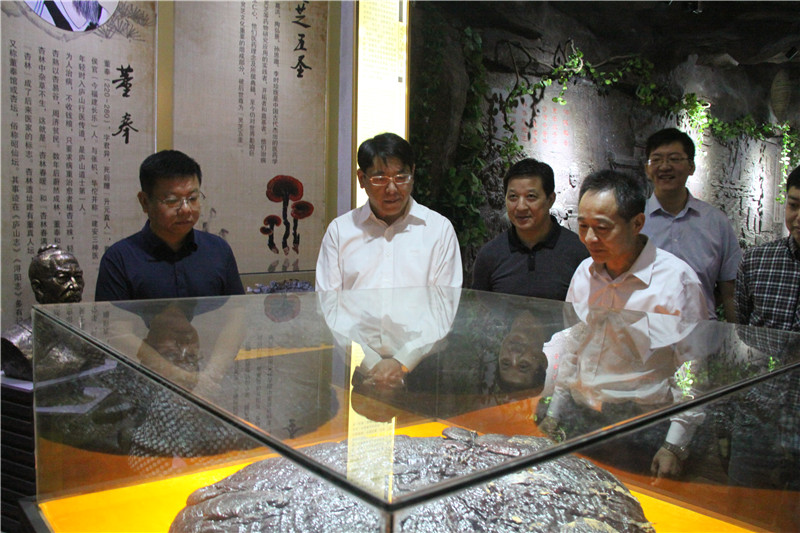 中國靈芝十大品牌|仙客來靈芝|仙客來靈芝破壁孢子粉|仙客來孢子油|仙客來靈芝飲片|仙客來破壁孢子粉|仙客來靈芝中藥飲片|馳名商標(biāo)|www.sinishell.cn|