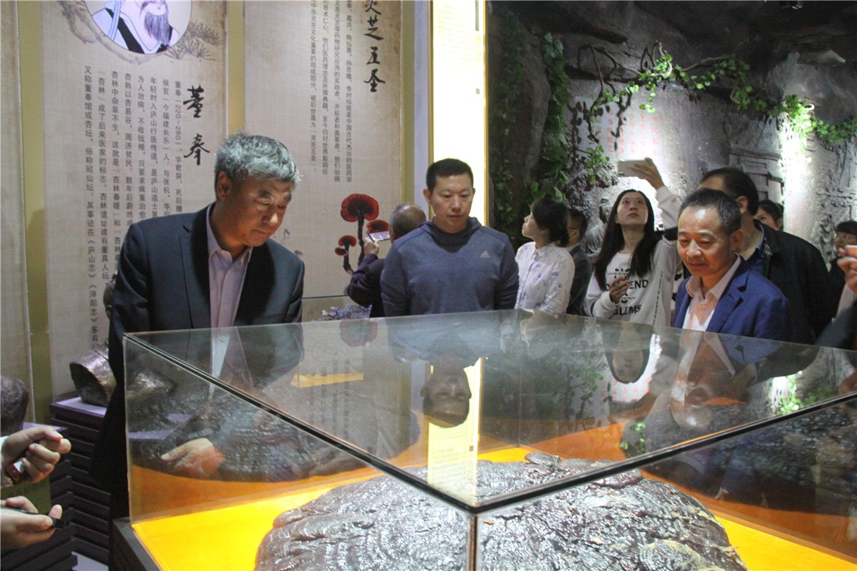 中國靈芝十大品牌|仙客來靈芝|仙客來靈芝破壁孢子粉|仙客來孢子油|仙客來靈芝飲片|仙客來破壁孢子粉|仙客來靈芝中藥飲片|馳名商標(biāo)|www.sinishell.cn|