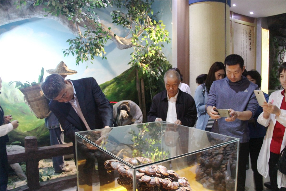 中國靈芝十大品牌|仙客來靈芝|仙客來靈芝破壁孢子粉|仙客來孢子油|仙客來靈芝飲片|仙客來破壁孢子粉|仙客來靈芝中藥飲片|馳名商標(biāo)|www.sinishell.cn|