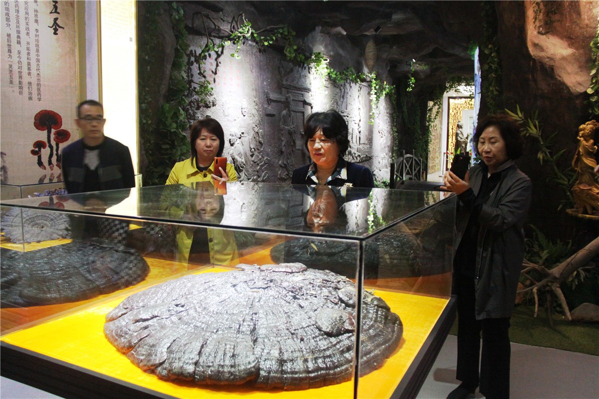 中國靈芝十大品牌|仙客來靈芝|仙客來靈芝破壁孢子粉|仙客來孢子油|仙客來靈芝飲片|仙客來破壁孢子粉|仙客來靈芝中藥飲片|馳名商標(biāo)|www.sinishell.cn|