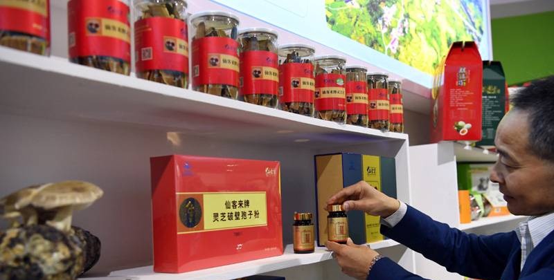 中國(guó)靈芝十大品牌|仙客來(lái)靈芝|仙客來(lái)靈芝破壁孢子粉|仙客來(lái)孢子油|仙客來(lái)靈芝飲片|仙客來(lái)破壁孢子粉|仙客來(lái)靈芝中藥飲片|馳名商標(biāo)|www.sinishell.cn|