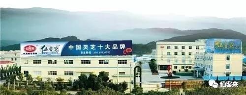中國靈芝十大品牌|仙客來靈芝|仙客來靈芝破壁孢子粉|仙客來孢子油|仙客來靈芝飲片|仙客來破壁孢子粉|仙客來靈芝中藥飲片|馳名商標(biāo)|www.sinishell.cn|