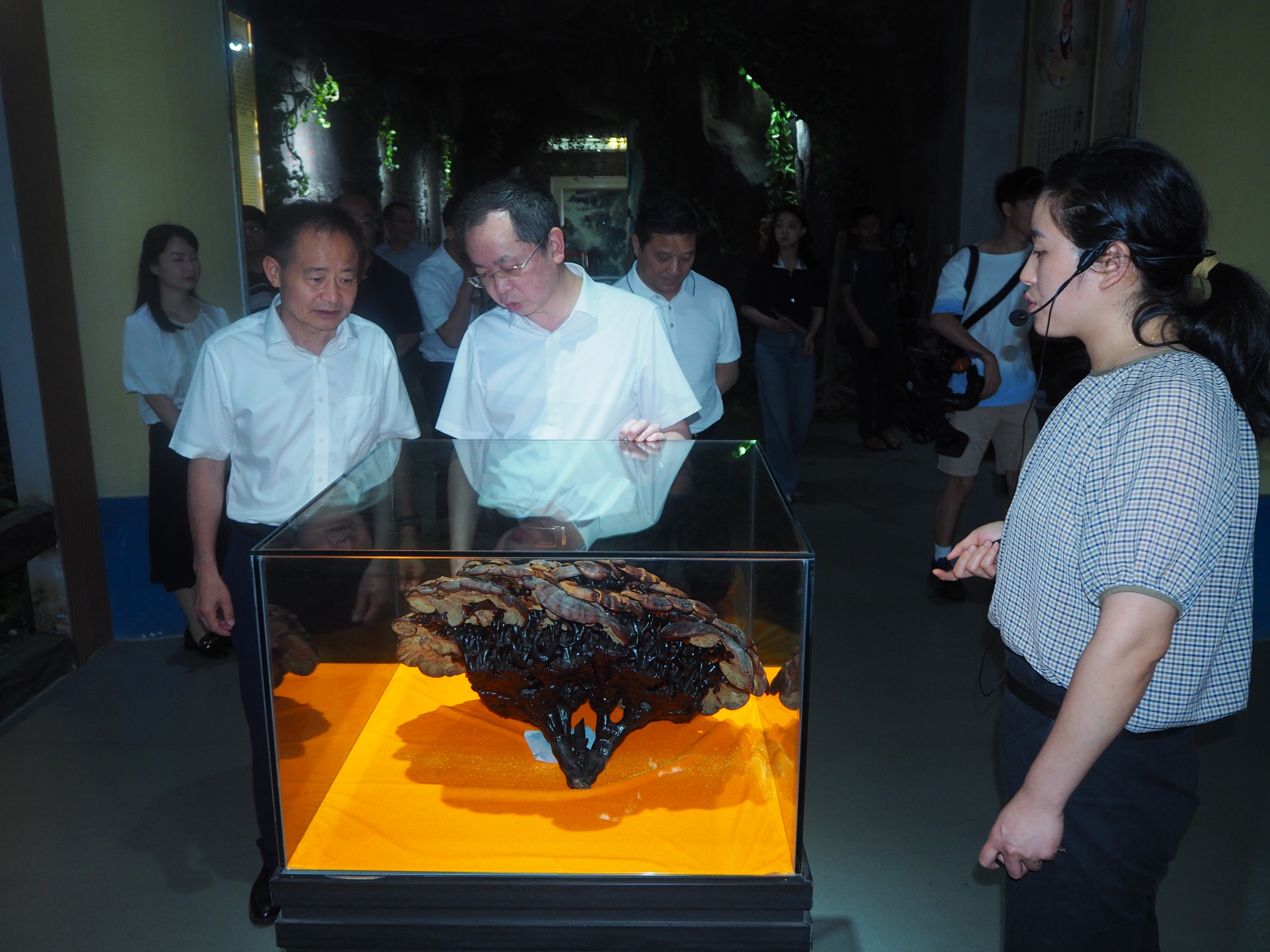 杭州亞運(yùn)會官方靈芝產(chǎn)品供應(yīng)商|杭州亞運(yùn)會官方供應(yīng)商|中國靈芝十大品牌|仙客來靈芝|仙客來靈芝破壁孢子粉|仙客來孢子油|仙客來靈芝飲片|仙客來破壁孢子粉|靈芝孢子油|孢子粉|靈芝破壁孢子粉|靈芝|中華老字號