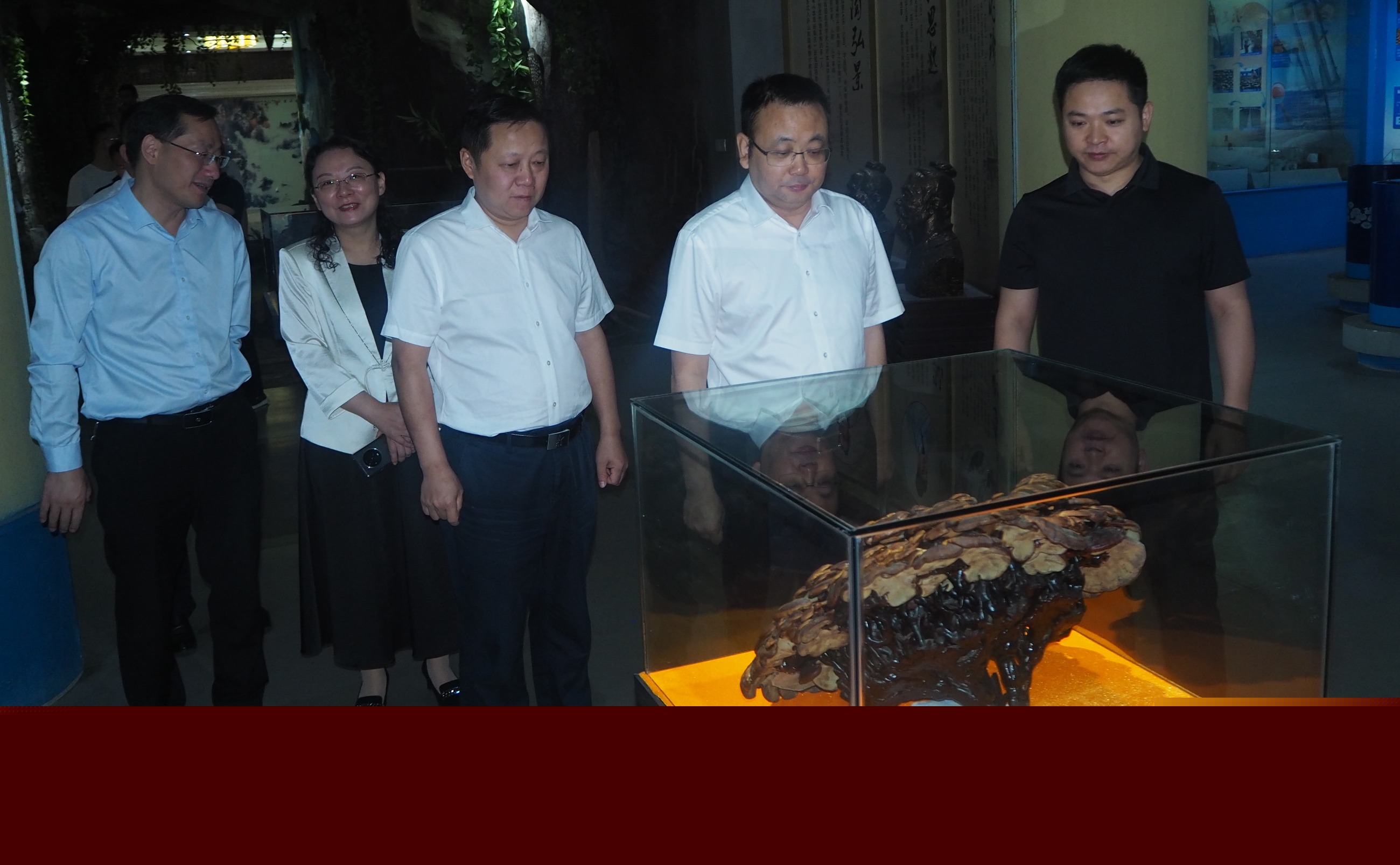 杭州亞運(yùn)會(huì)官方靈芝產(chǎn)品供應(yīng)商|杭州亞運(yùn)會(huì)官方供應(yīng)商|中國靈芝十大品牌|仙客來靈芝|仙客來靈芝破壁孢子粉|仙客來孢子油|仙客來靈芝飲片|仙客來破壁孢子粉|靈芝孢子油|孢子粉|靈芝破壁孢子粉|靈芝|中華老字號(hào)