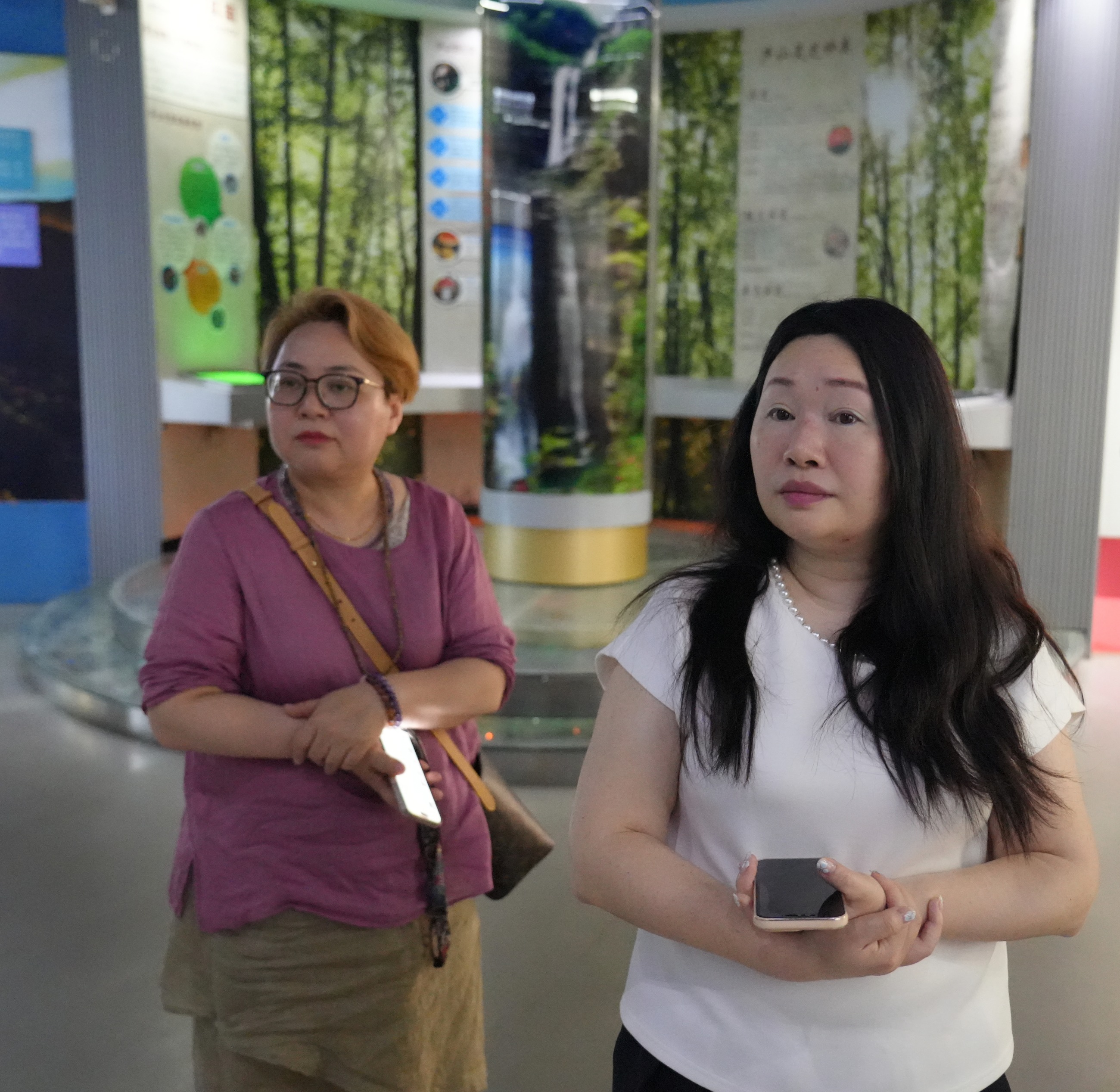 杭州亞運會官方靈芝產(chǎn)品供應(yīng)商|杭州亞運會官方供應(yīng)商|中國靈芝十大品牌|仙客來靈芝|仙客來靈芝破壁孢子粉|仙客來孢子油|仙客來靈芝飲片|仙客來破壁孢子粉|靈芝孢子油|孢子粉|靈芝破壁孢子粉|靈芝|中華老字號