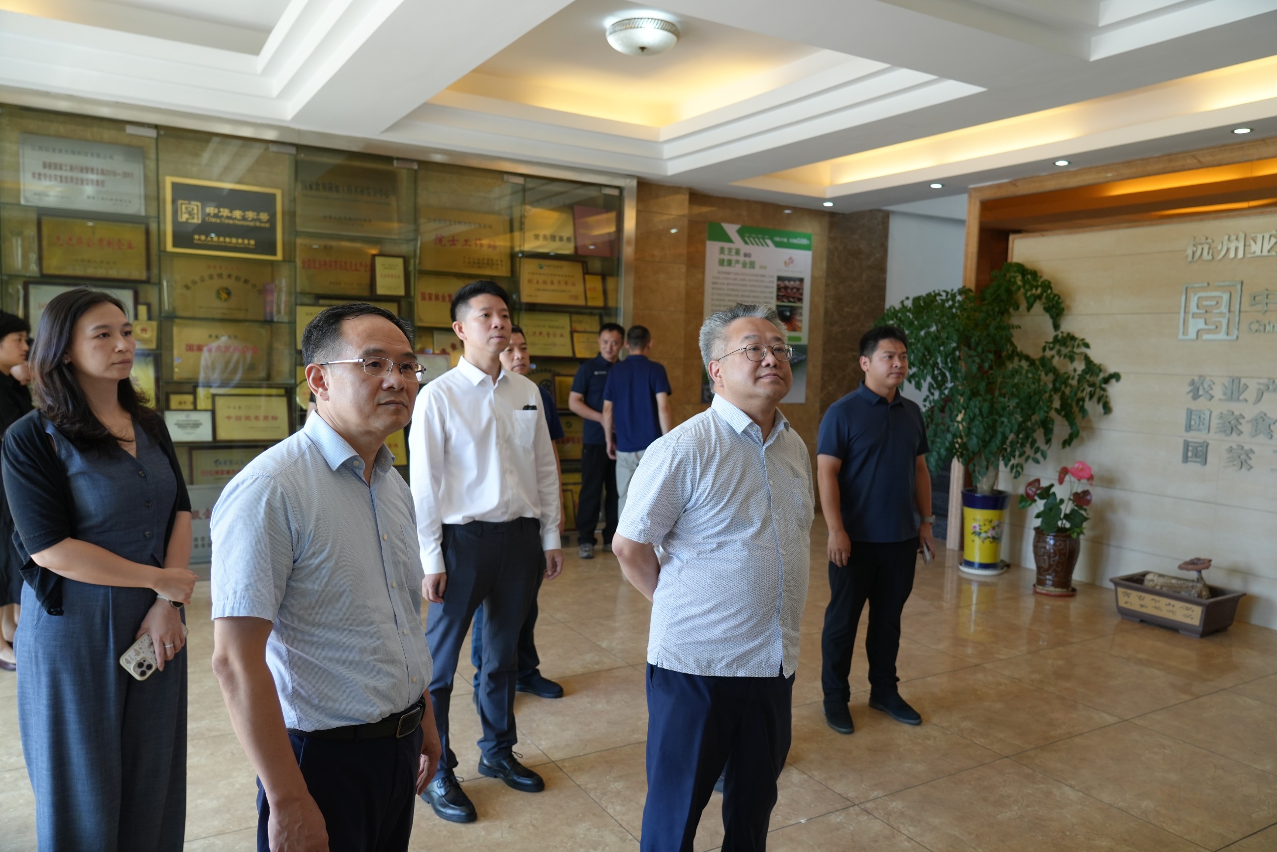 杭州亞運(yùn)會(huì)官方靈芝產(chǎn)品供應(yīng)商|杭州亞運(yùn)會(huì)官方供應(yīng)商|中國(guó)靈芝十大品牌|仙客來(lái)靈芝|仙客來(lái)靈芝破壁孢子粉|仙客來(lái)孢子油|仙客來(lái)靈芝飲片|仙客來(lái)破壁孢子粉|靈芝孢子油|孢子粉|靈芝破壁孢子粉|靈芝|中華老字號(hào)