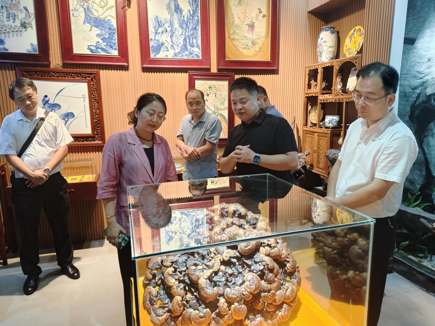 杭州亞運(yùn)會(huì)官方靈芝產(chǎn)品供應(yīng)商|杭州亞運(yùn)會(huì)官方供應(yīng)商|中國(guó)靈芝十大品牌|仙客來(lái)靈芝|仙客來(lái)靈芝破壁孢子粉|仙客來(lái)孢子油|仙客來(lái)靈芝飲片|仙客來(lái)破壁孢子粉|靈芝孢子油|孢子粉|靈芝破壁孢子粉|靈芝|中華老字號(hào)