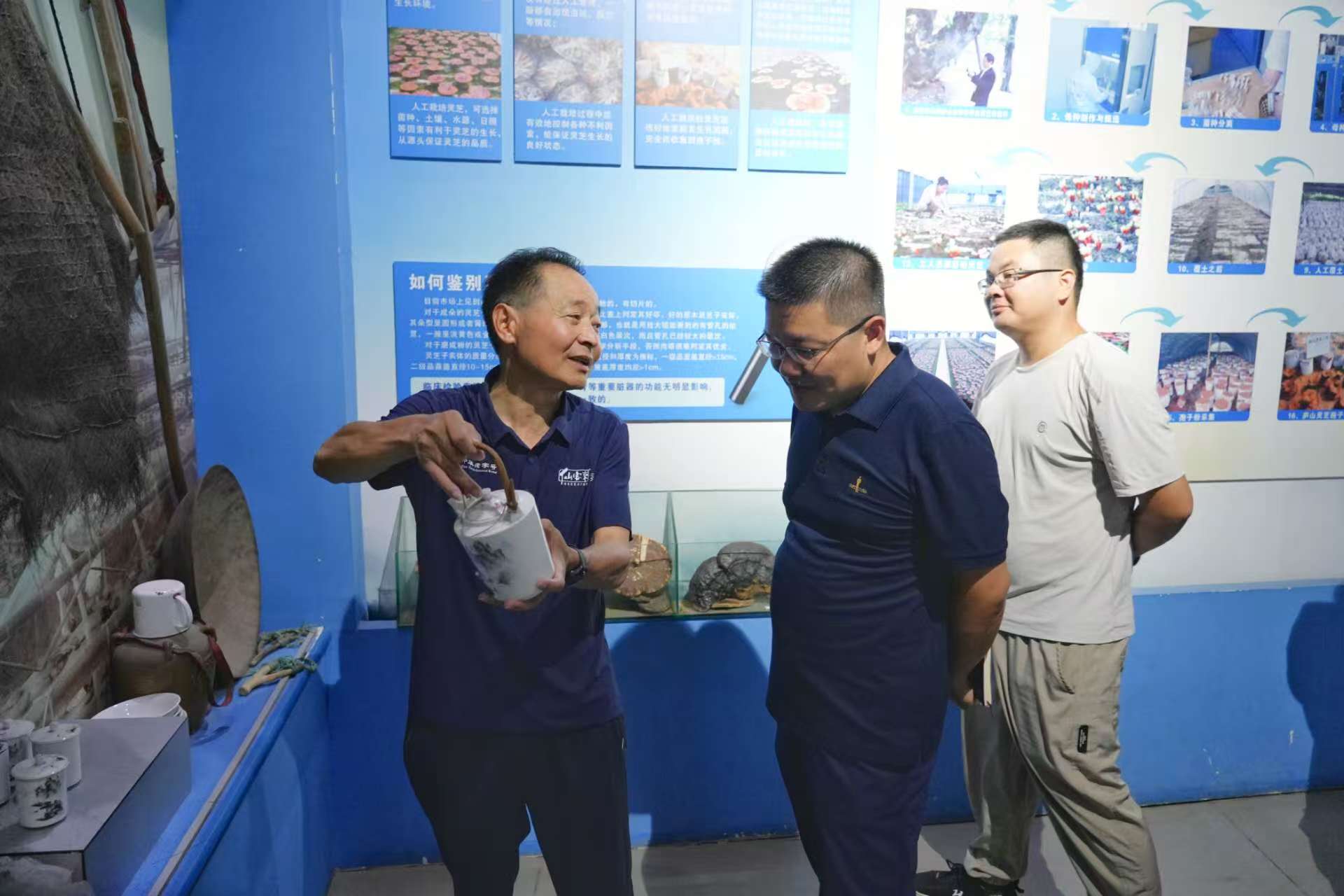 杭州亞運會官方靈芝產品供應商|杭州亞運會官方供應商|中國靈芝十大品牌|仙客來靈芝|仙客來靈芝破壁孢子粉|仙客來孢子油|仙客來靈芝飲片|仙客來破壁孢子粉|靈芝孢子油|孢子粉|靈芝破壁孢子粉|靈芝|中華老字號 杭州亞運會官方靈芝產品供應商|杭州亞運會官方供應商|中國靈芝十大品牌|仙客來靈芝|仙客來靈芝破壁孢子粉|仙客來孢子油|仙客來靈芝飲片|仙客來破壁孢子粉|靈芝孢子油|孢子粉|靈芝破壁孢子粉|靈芝|中華老字號