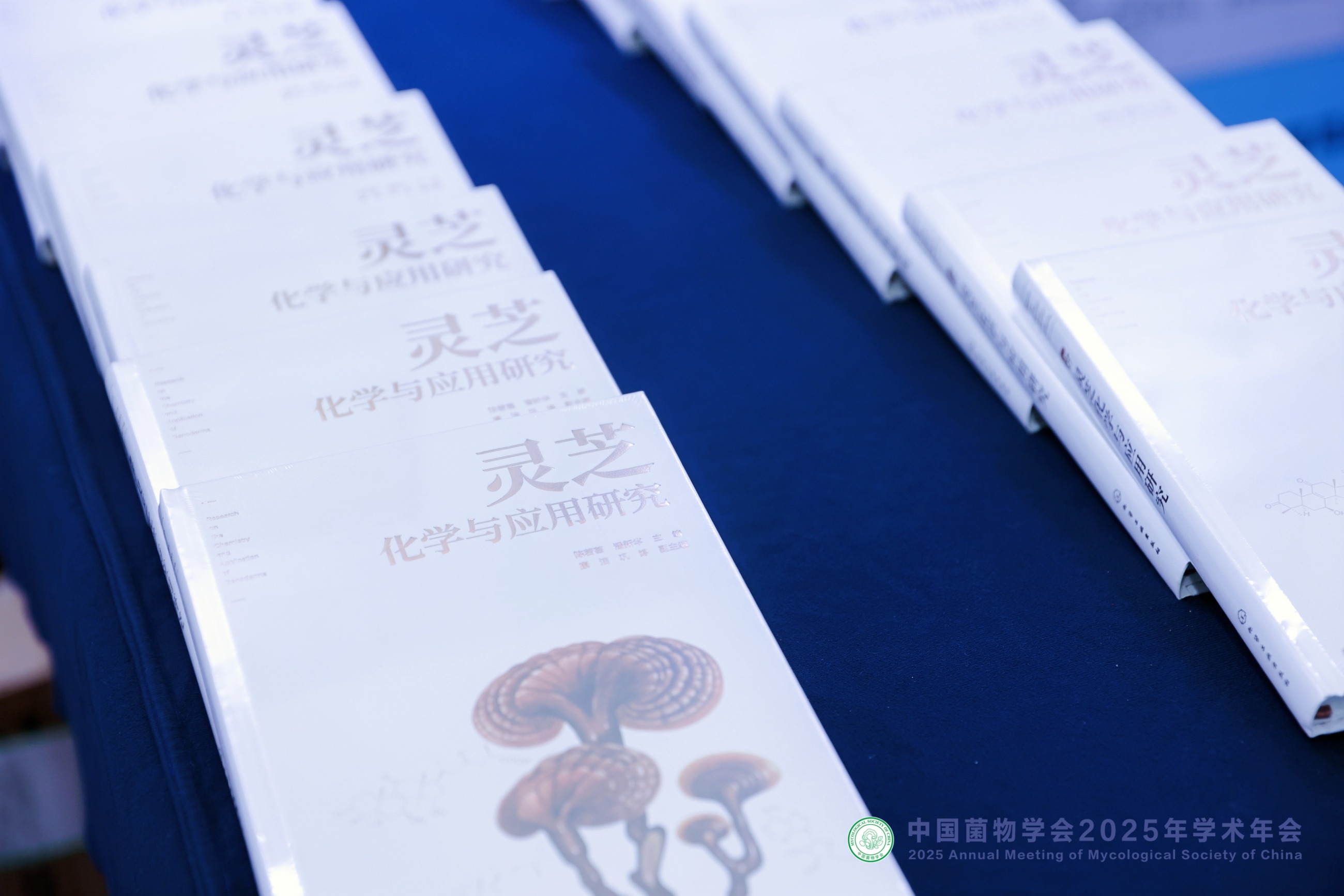 杭州亞運會官方靈芝產品供應商|杭州亞運會官方供應商|中國靈芝十大品牌|仙客來靈芝|仙客來靈芝破壁孢子粉|仙客來孢子油|仙客來靈芝飲片|仙客來破壁孢子粉|靈芝孢子油|孢子粉|靈芝破壁孢子粉|靈芝|中華老字號