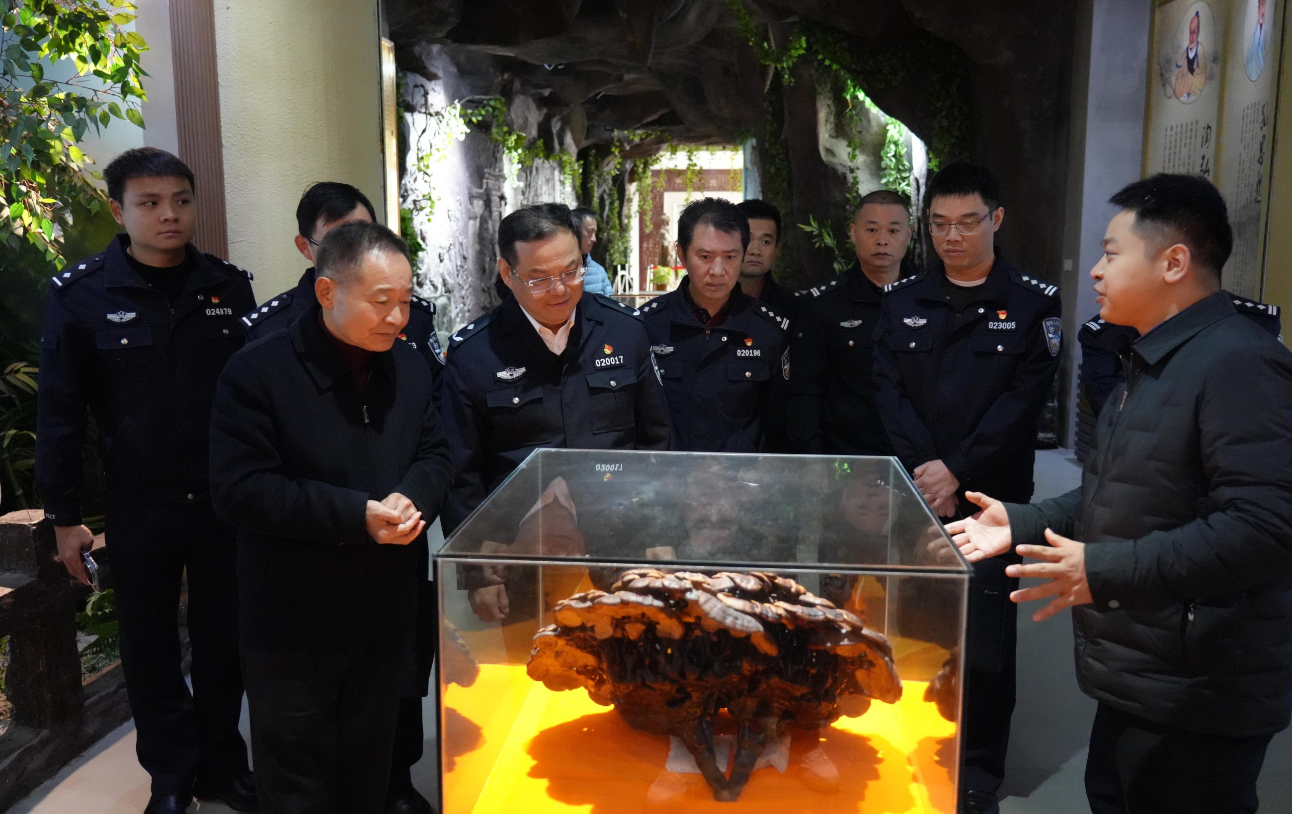 杭州亞運(yùn)會(huì)官方靈芝產(chǎn)品供應(yīng)商|杭州亞運(yùn)會(huì)官方供應(yīng)商|中國(guó)靈芝十大品牌|仙客來(lái)靈芝|仙客來(lái)靈芝破壁孢子粉|仙客來(lái)孢子油|仙客來(lái)靈芝飲片|仙客來(lái)破壁孢子粉|靈芝孢子油|孢子粉|靈芝破壁孢子粉|靈芝|中華老字號(hào) 杭州亞運(yùn)會(huì)官方靈芝產(chǎn)品供應(yīng)商|杭州亞運(yùn)會(huì)官方供應(yīng)商|中國(guó)靈芝十大品牌|仙客來(lái)靈芝|仙客來(lái)靈芝破壁孢子粉|仙客來(lái)孢子油|仙客來(lái)靈芝飲片|仙客來(lái)破壁孢子粉|靈芝孢子油|孢子粉|靈芝破壁孢子粉|靈芝|中華老字號(hào)