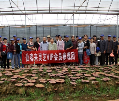 “慶國(guó)慶、賀重陽(yáng)”專家義診活動(dòng)在仙客來公司隆重舉行