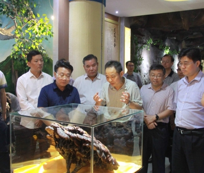 &ldquo;降成本，優(yōu)環(huán)境&rdquo;助企業(yè)騰飛&mdash;&mdash;江西省政協(xié)副主席率團(tuán)調(diào)研仙客來！