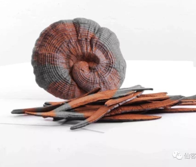 先，鮮，仙，一杯飲盡天下鮮。