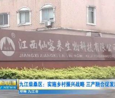 中國人只需要“別具”，缺失了“匠心”！