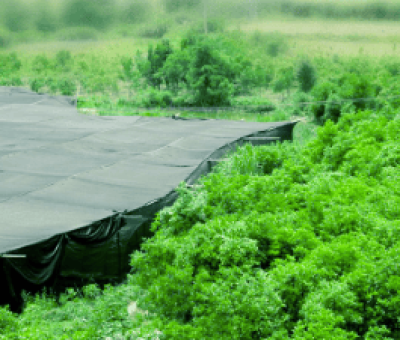 感謝廬山吧，這會是一場“仙旅情緣”