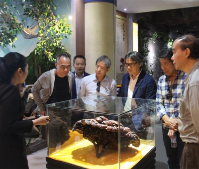 健康“良方”在這！全國(guó)政協(xié)委員、世界著名大學(xué)香港大學(xué) 榮譽(yù)院士孫少文博士蒞臨仙客來(lái)公司參觀考察