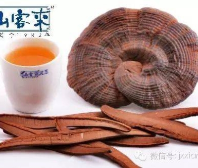 熱潮不斷！仙客來(lái)有機(jī)靈芝被點(diǎn)贊刷屏