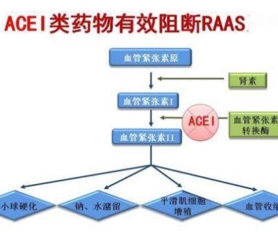 不吃藥，能降低高血壓？
