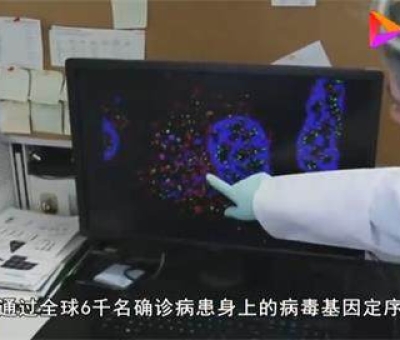最新科學(xué)研究:新冠病毒使人體免疫系統(tǒng)“短路”