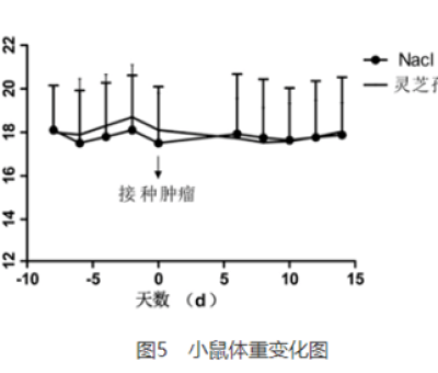 免疫力與乳腺癌密切關(guān)聯(lián)
