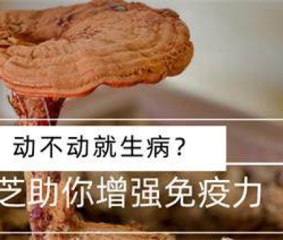 冬病夏治-如何調(diào)養(yǎng)身體？