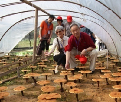 “七一勛章”獲得者張桂梅背后的故事：他們將靈芝磨成粉，送給她拌飯吃，說，吃這些能治病