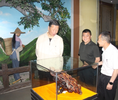 安徽省軍區(qū)原參謀長呂錄庭將軍蒞臨仙客來參觀調研