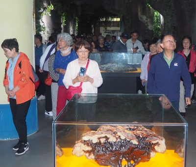 深深靈芝情！中華全國供銷合作總社再訪仙客來