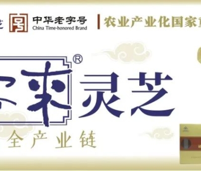 贊助商-仙客來(lái)靈芝，為健康加油